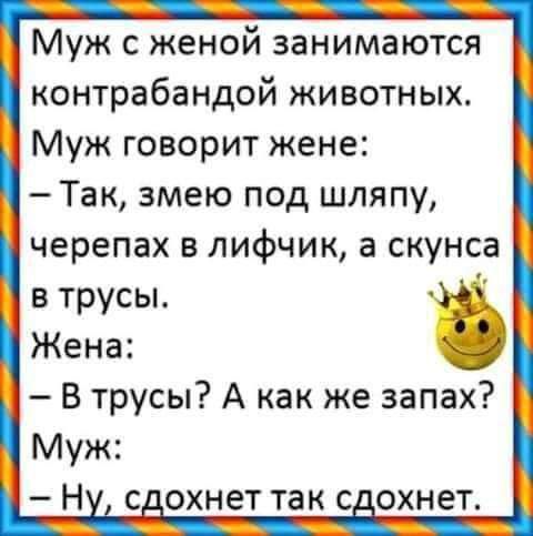 Муж с женой занимаются контрабандой животных Муж говорит жене Так змею под шляпу черепах в лифчик а скунса в трусы Жена В трусы А как же запах Муж Н с