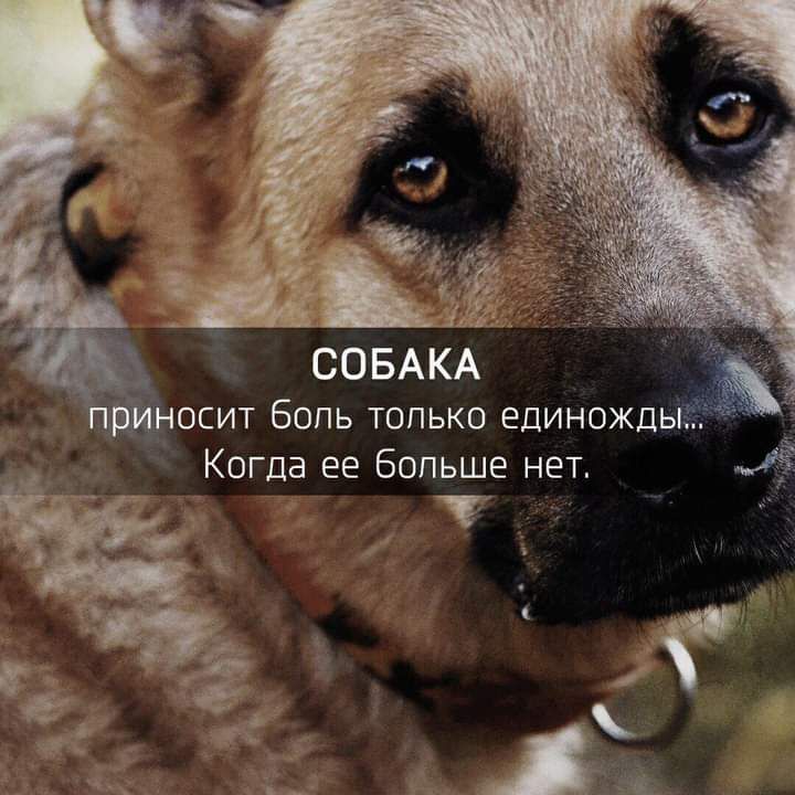Ъосит бопь только единожд Когда ее Больше нет 1 т