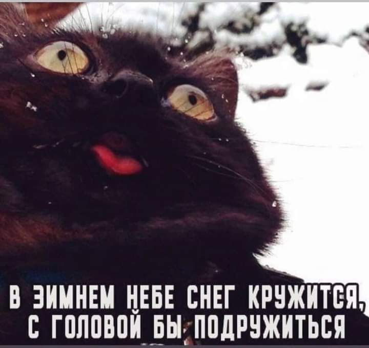 взимнвм нввв снег крнжитвя с голпвпицьы ппдрчжиться