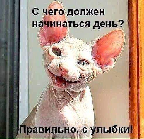 С чего должен наЧинаться день