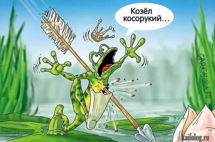_ 7__ _ч Козёп _ _ косорукии