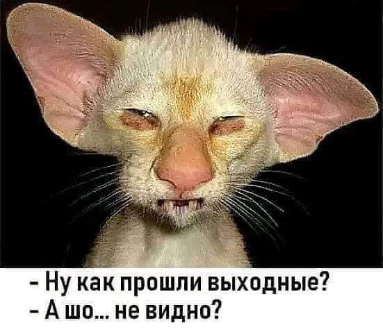 _ Ну как прошли выходные А ще не видно
