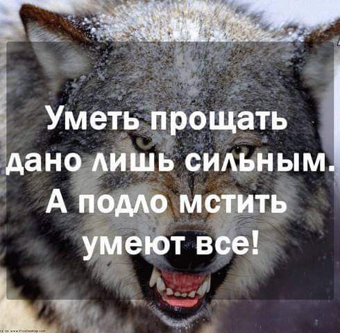 Умеі ёрбціёть _ Ишь симэным