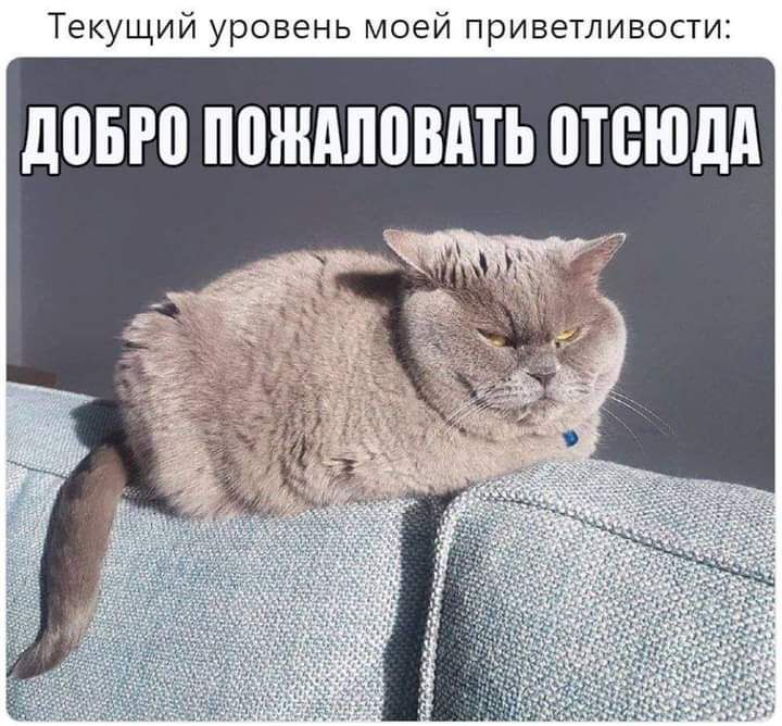 Текущий уровень моей риветливости МБП ППШАПВВАТЬ ШВЮДА