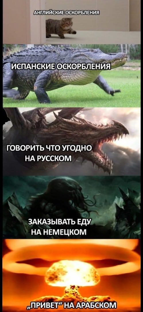 гвлвнш _ Б _ зАкддывАтьЩу НАНЕМЕЦКОМ _ привьт НА АрАБском