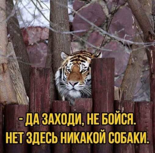 рй ЁЁ 3333 ЛА3Ах0диНЕБпйія нп здвсь никдкпй совдки
