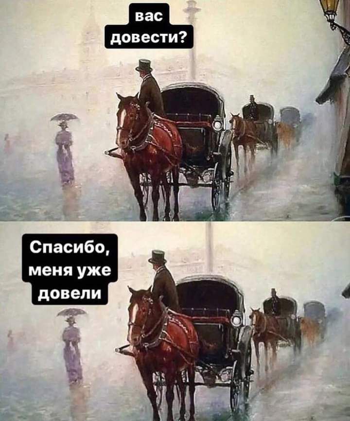 вас довести
