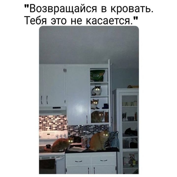 Возвращайся в кровать Тебя это не касается