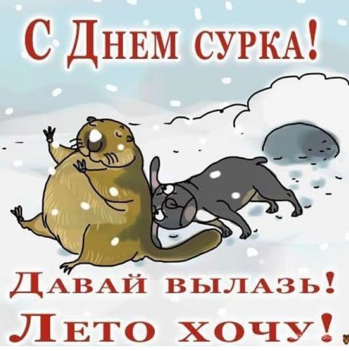 С ДНЕМ СУРКА _ ДАВАЙ ВЬ1ЛА3Ь Л ЕТО ХОЧУ