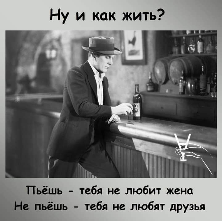 Ну и как жить _ Пьёшь тебя не любит жена Н пьёшь тебя не любят друзья