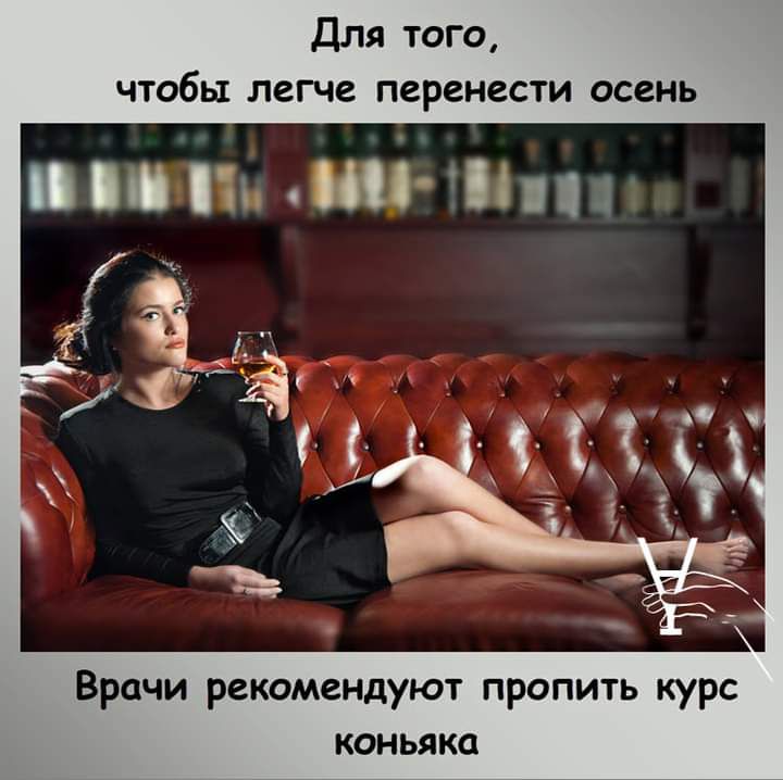 Для того чтобы легче перенести осень И Пти Врачи рекомендуют пропить курс коньяка