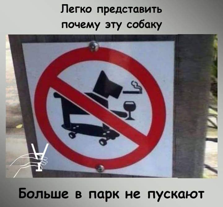 Легко представить почему эту собаку ольше в парк не пускают