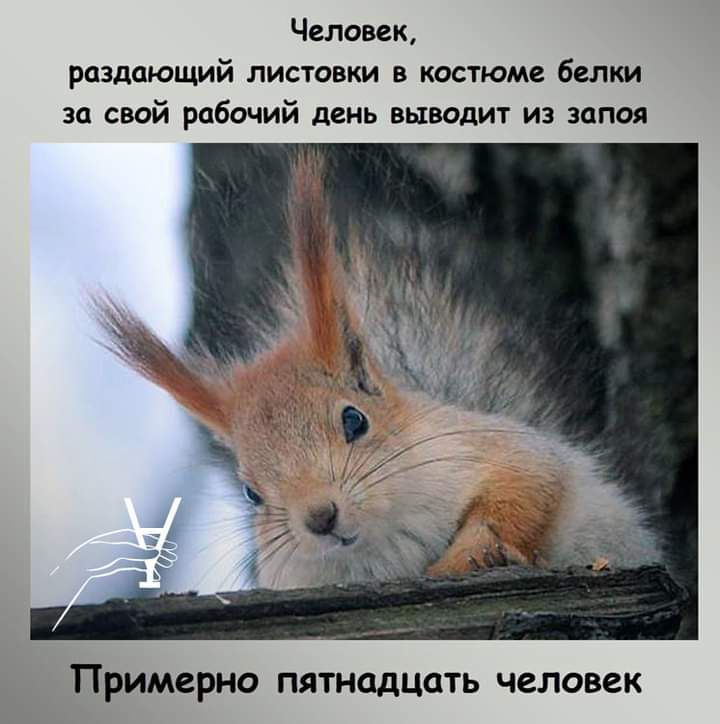 Человек раздающий листовки в костюме белки за свой рабочий день выводит из запоя Примерно пятнадцать человек
