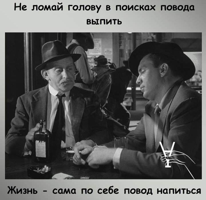 Не помой голову в поисках повода выпить Жизнь сама по себе повод напиться