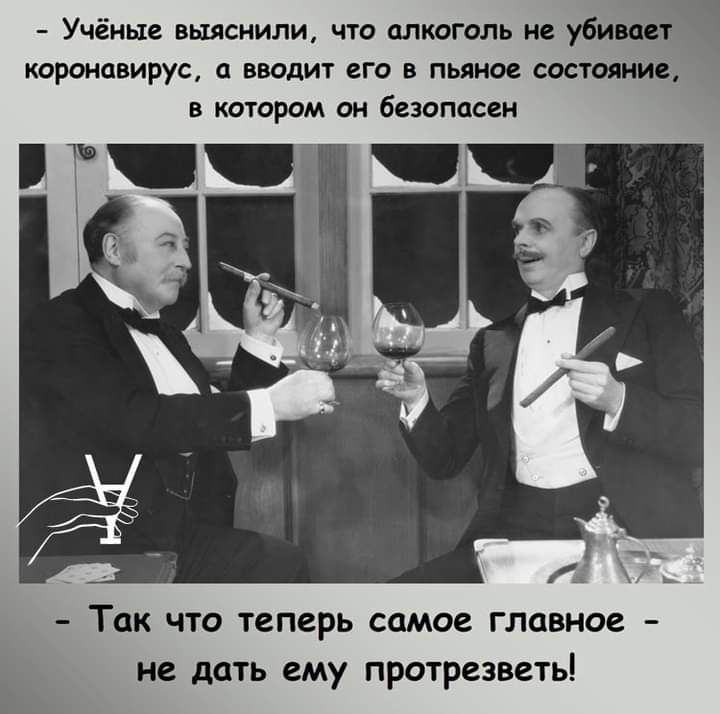 Учёные ВШСНИЛИ ЧТО МКОГОЛЬ не убивает КОРОНОВИРУС О ВВОДИТ его В ПЬЯНОС СОСТОЯНИБ В КОТОРОМ ОН безопасен г Так что теперь самое главное не дать ему протрезветь