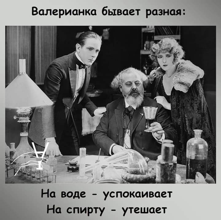 Валерианка бывает разная На воде успокаивает На спирту утешает