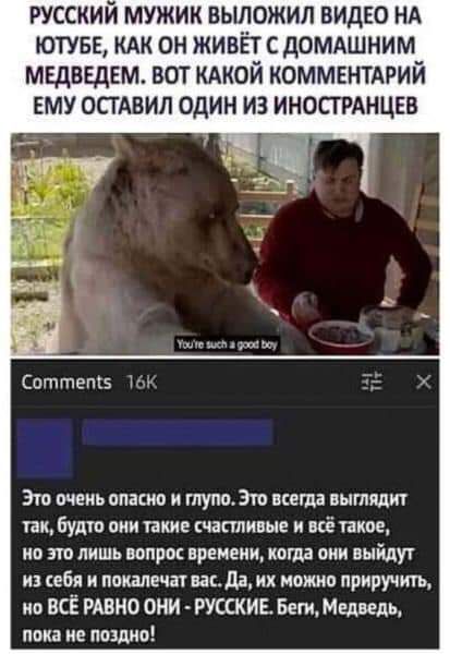 русскии мужик выложил видно нд ютувв кдк он живёт с домдшним медведем вот кдкой коммвнтдрий ему остдвил один из ИНОСТРАНЦЕВ 7 Спттепсз Эти очень ппасью и тупозто кеша вытпдиг пи будто они пике теплицы и всё такое по ЛИШЬ ВОПРОС ВРЕМЕНИ когда ОНИ выйду и себя покаянии вак да и можно приручить ип ВСЁ РАВНО ОНИ РУССКИЕ Беги Медведь пока не пошив