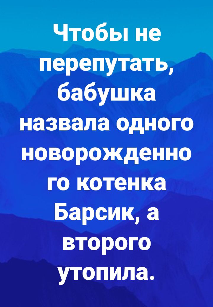 Чтобы не перепутать бабушка назвала одного новорожденно го котенка Барсик а второго утопила