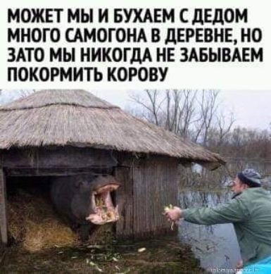 МОЖЕТ МЫ И БУХАЕМ С дЕдОМ МНОГО САМОГОНА В дЕРЕВНЕ НО ЗАТО МЫ НИКОГДА НЕ ЗАБЫВАЕМ ПОКОРМИТЬ КОРОВУ т к г