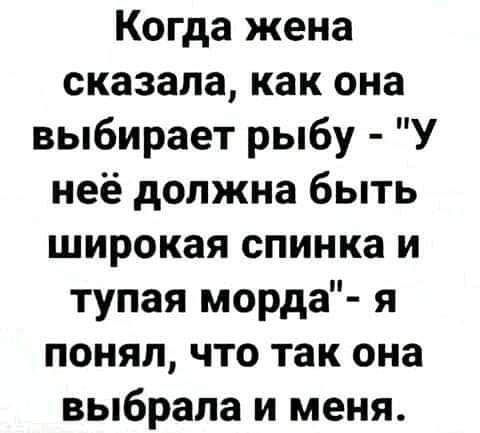 Когда жена сказала как она выбирает рыбу У неё должна быть широкая спинка и тупая морда я понял что так она выбрала и меня