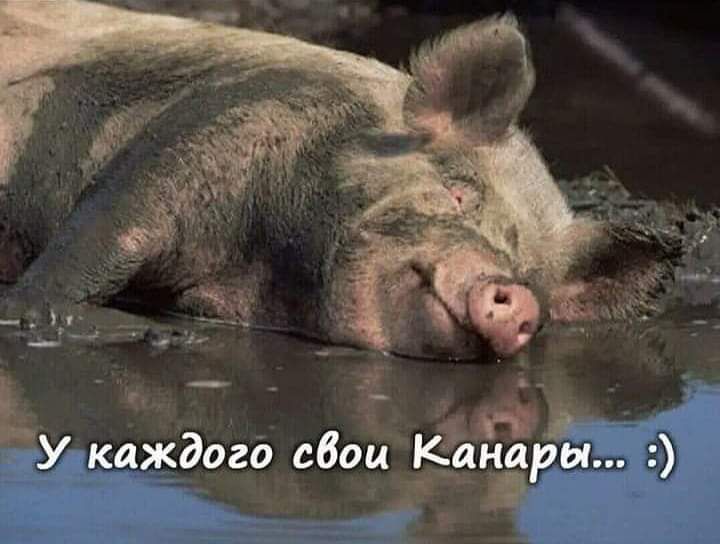 _ д У каждого сбои КЪЬЁры дд