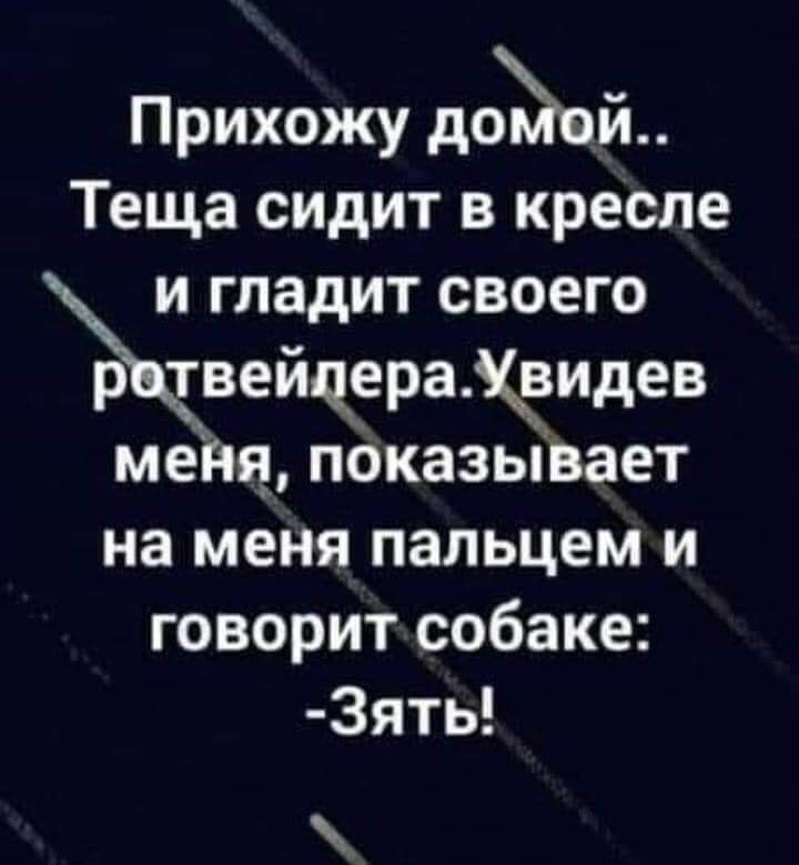 Прихожу доЪой Теща сидит в кресле гладит своего вейцера Хаидев меня показывает на меня пальцем и говорит собаке 3ять