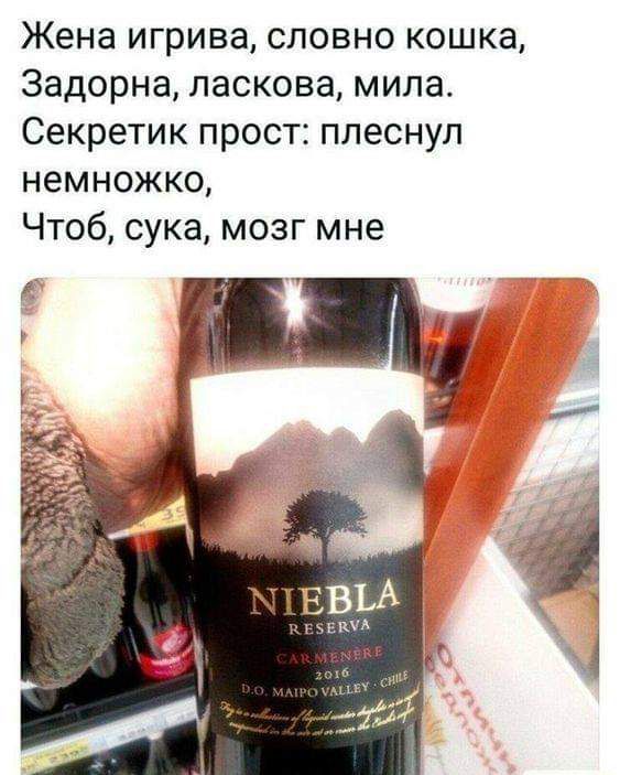 Жена игрива словно кошка Задорна ласкова мила Секретик прост плеснул немножко Чтоб сука мозг мне