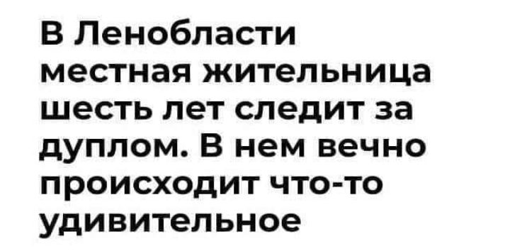 В Ленобласти местная жительница шесть лет следит за дуплом В нем вечно происходит что то удивительное