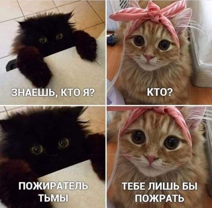 ТЕБЕ лишь БЫ пожить