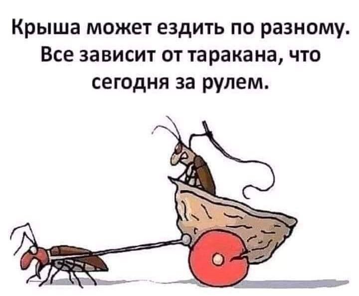 Крыша может ездить по разному Все зависит от таракана что сегодня за рулем