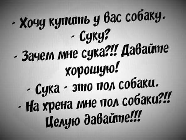 Хочу купить у бас собак буку Зачем мне сука дабайте хорошую Сука это под собаки На крена мне под собакой Целую дабайте