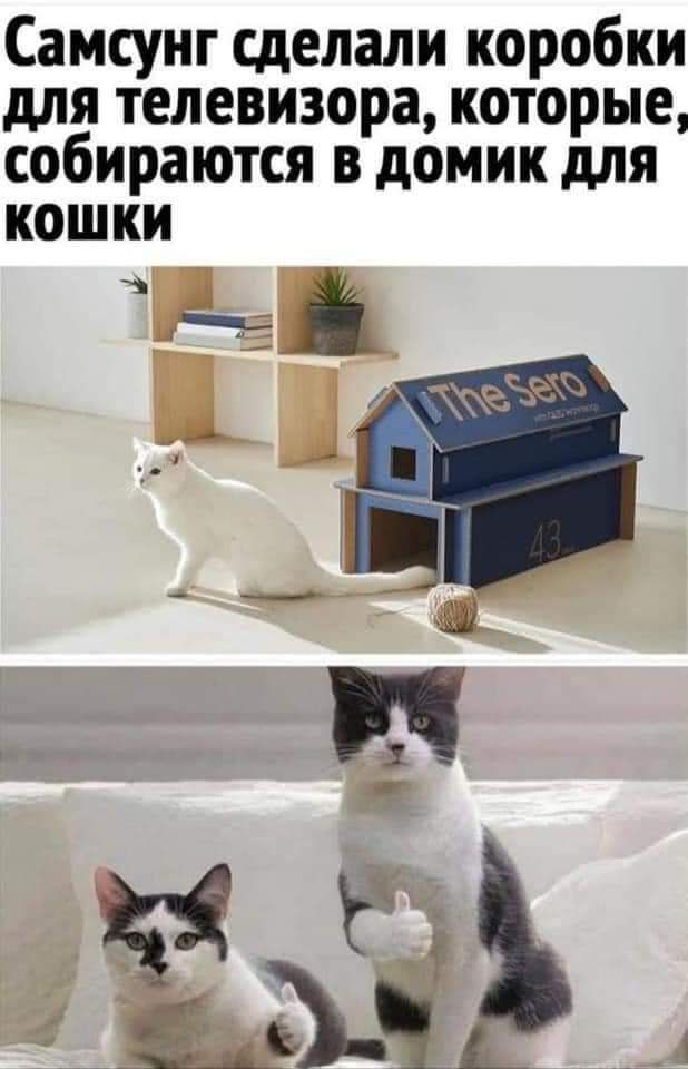 Самсунг сделали коробки для телевизора которые собираются в домик для кошки наш