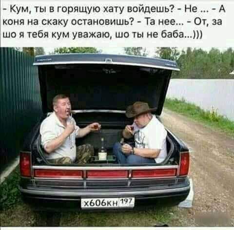 Кум ты в горящую хату войдешь Не А коня на скаку остановишь Та нее От за що я тебя кум уважаю шо ты не бабаш