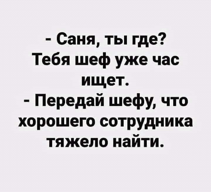 Саня ты где Тебя шеф уже час ищет Передай шефу что хорошего сотрудника тяжело найти