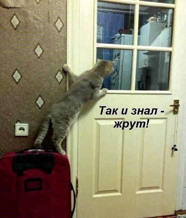 Так и знал жругйГ