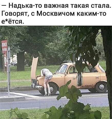 Надькато важная такая стала Говорят с Москвичом каким то еётся