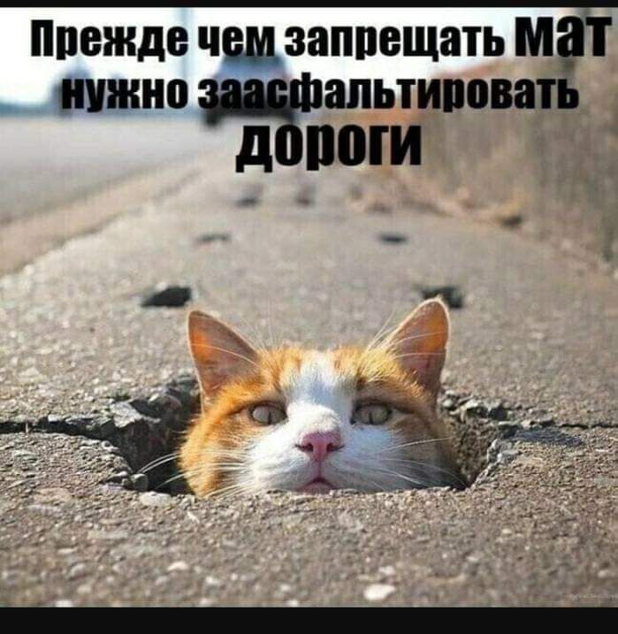 Прежде чшзаппещать М нужно Чапьтипова д із