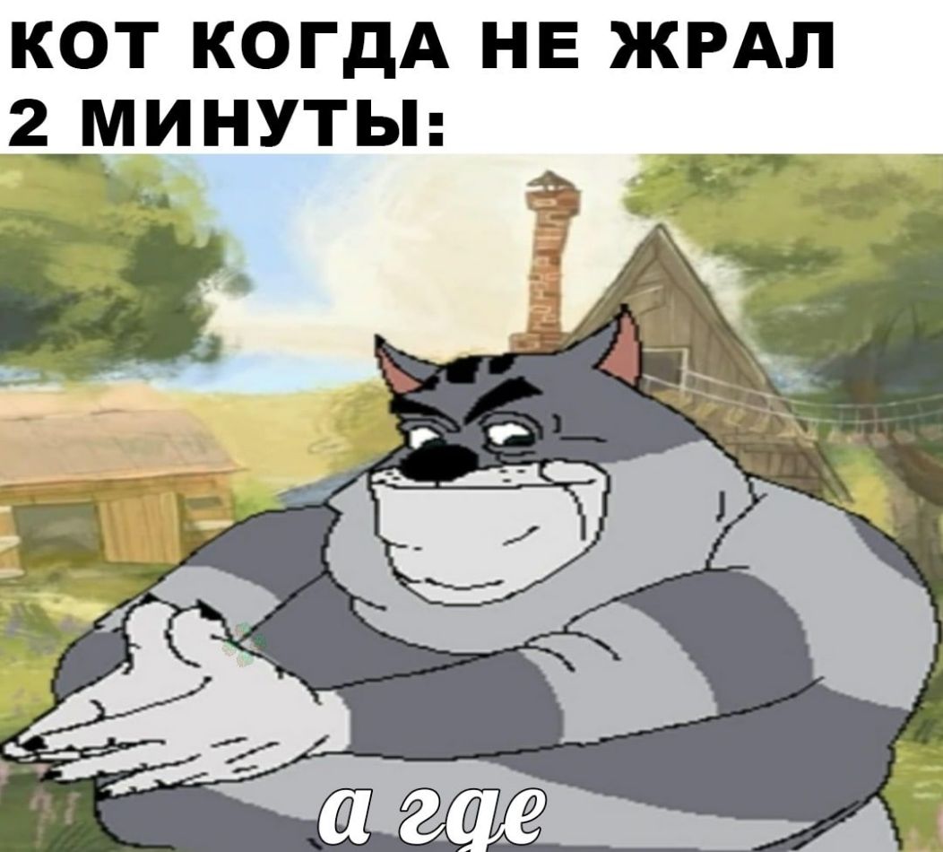 КОТ КОГДА НЕ ЖРАП