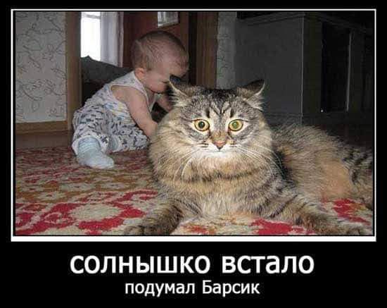 _ СОЛНЫШКО ВСТдЛО подумал Барсик