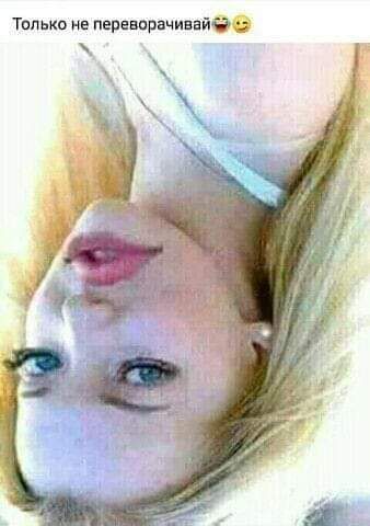 Талыш ие пвпнвпрачивайе