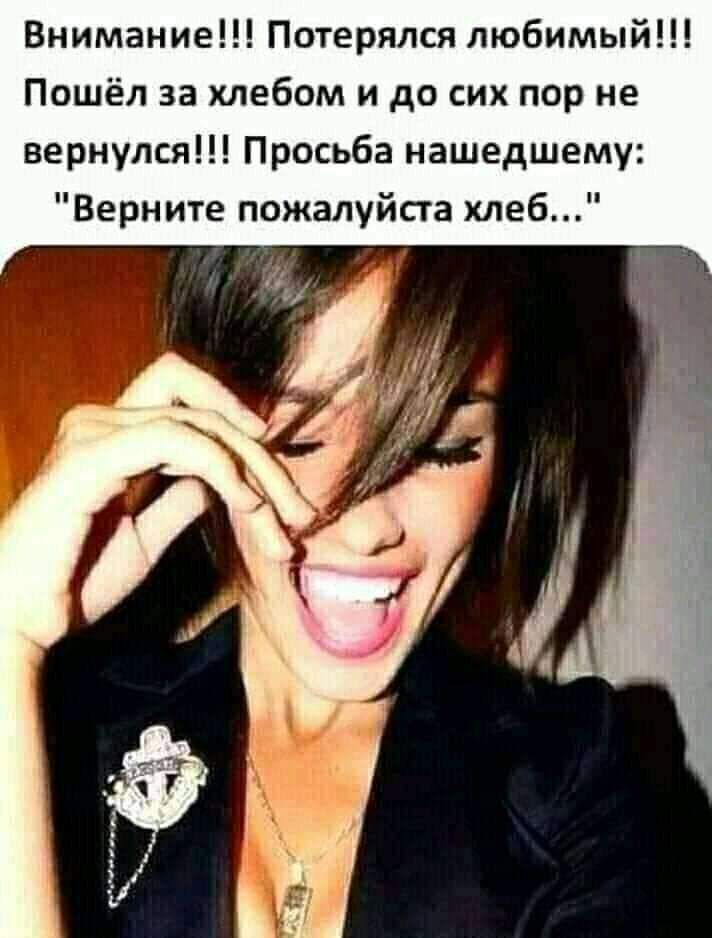 Внимание Потерялся любимый Пошёл за хлебом и до сих пор не вернулся Просьба нашедшему Верните пожалуйста хлеб