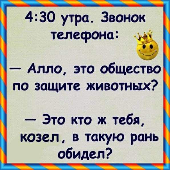 430 утра Звонок телефона Алло это общество по защите животных Это кто ж тебя козел в такую ронь обидел