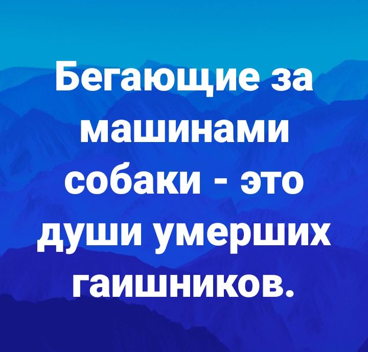 Бегающие за машинами собаки это души умерших гаишников