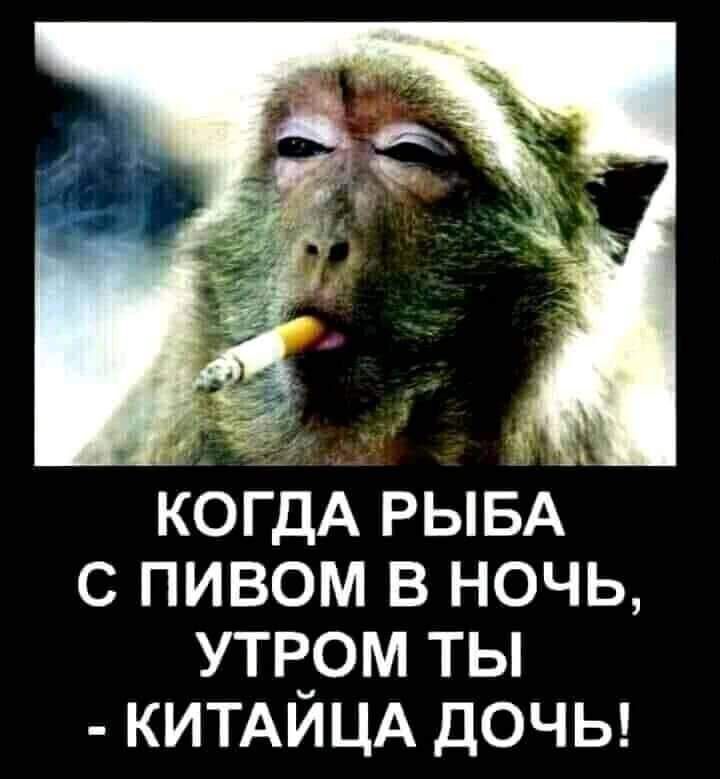 КОГДА РЫБА С ПИВОМ В НОЧЬ УТР_ОМ ТЫ КИТАИЦА ДОЧЬ