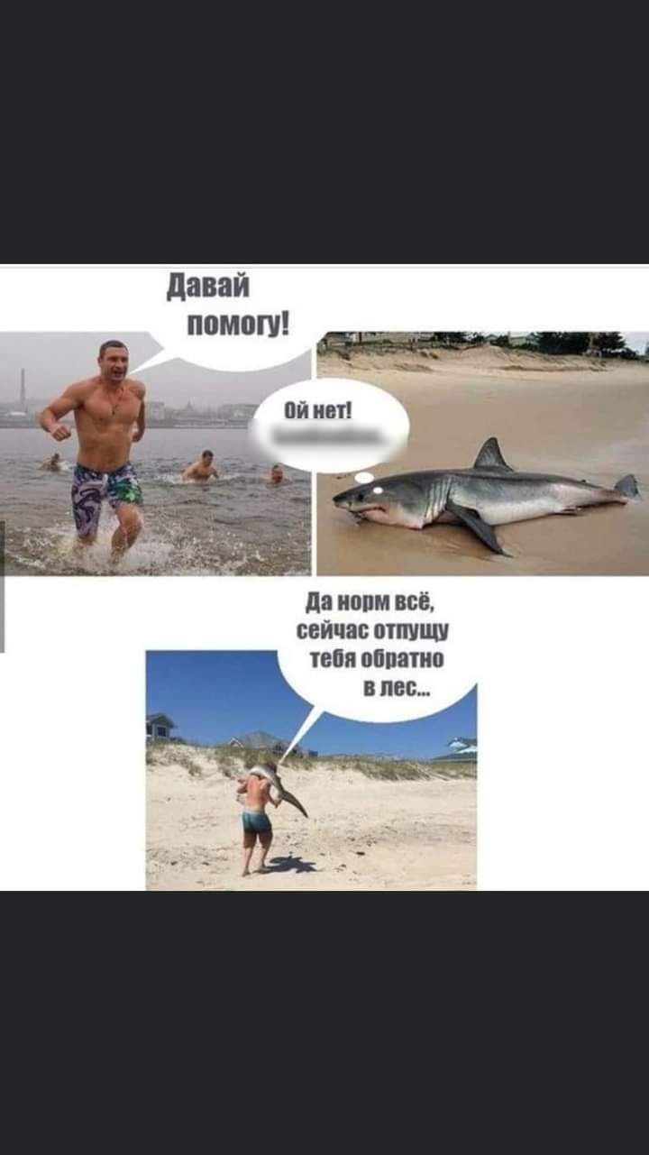 да иопм всё сейчас отпущу Гт іебиобпатио внес А