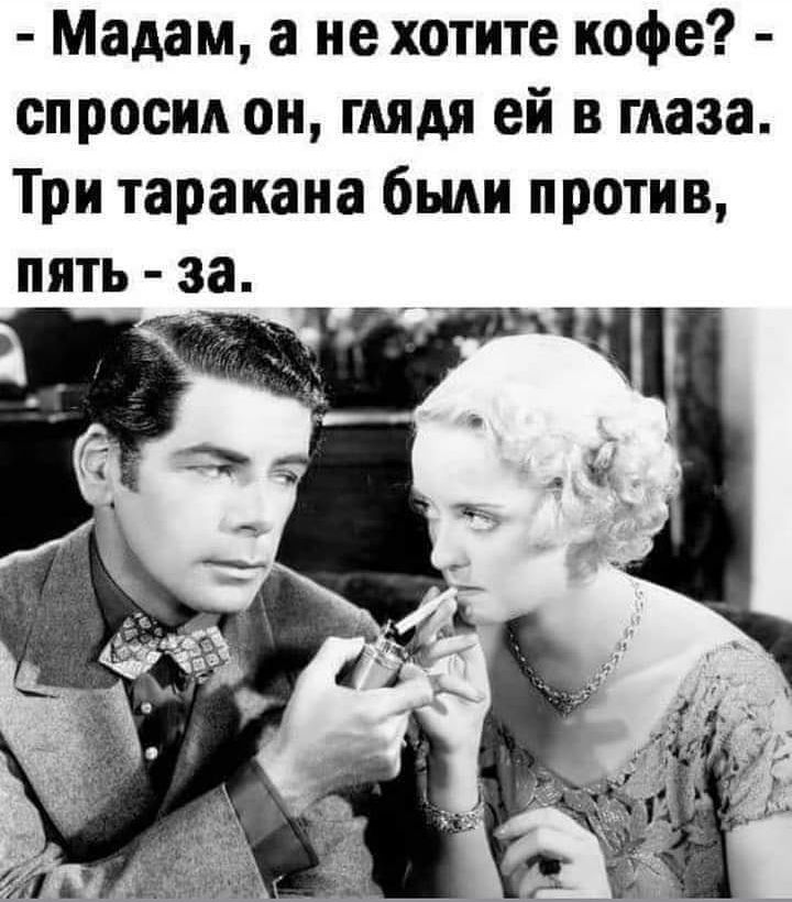 Мадам а не хотите кофе спросил он глядя ей в глаза Три таракана были против пять за