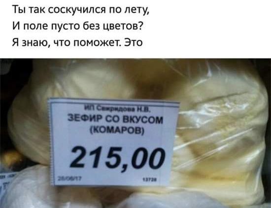 Ты так соскучился по лету И попе пусто без цветов Я знаю что поможет Это