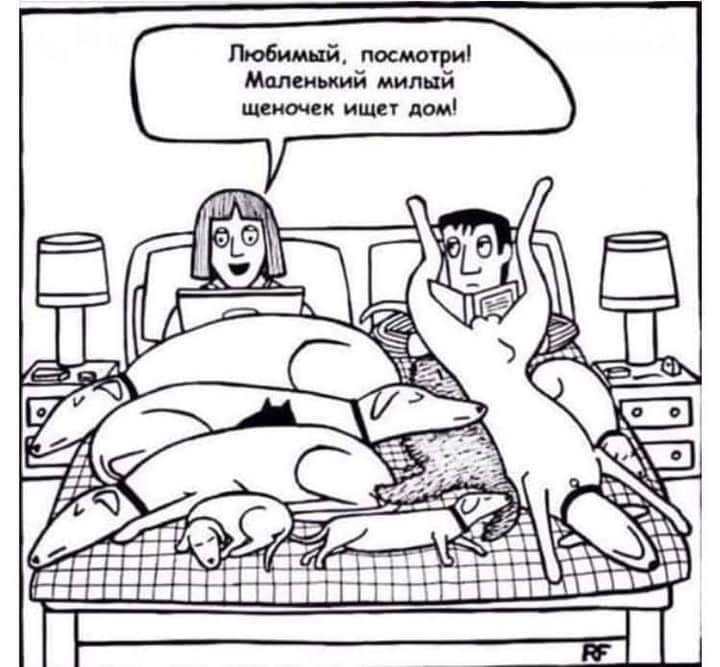 Любимый посмотри Маленький милый щекочек ищи лом г