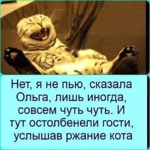 Нет я не пью сказала Ольга лишь иногда совсем чуть чуть И тут остолбенепи гости услышав ржание кота