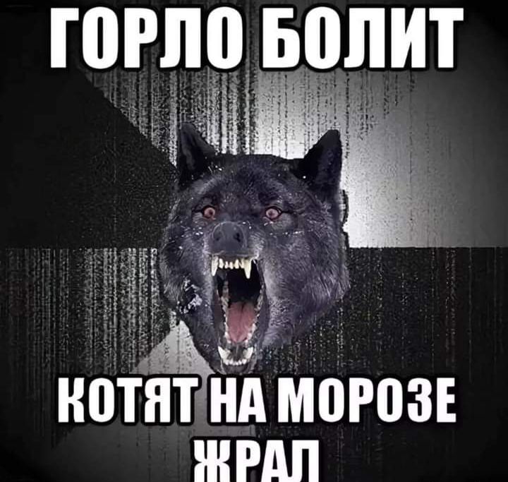 горло вопит котятгнд мороз ЖРАП